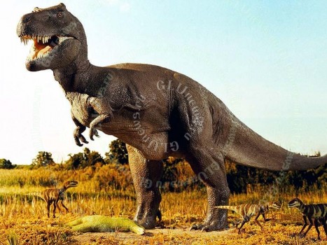 Определена скорость гигантских динозавров